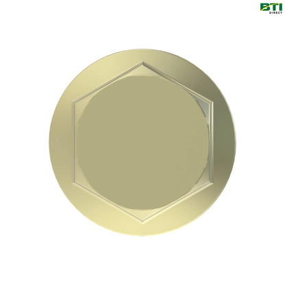 19M7820: Hexagonal Head Flanged Screw, M12 X 100