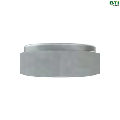 H165447: Hexagonal Lock Nut, M30