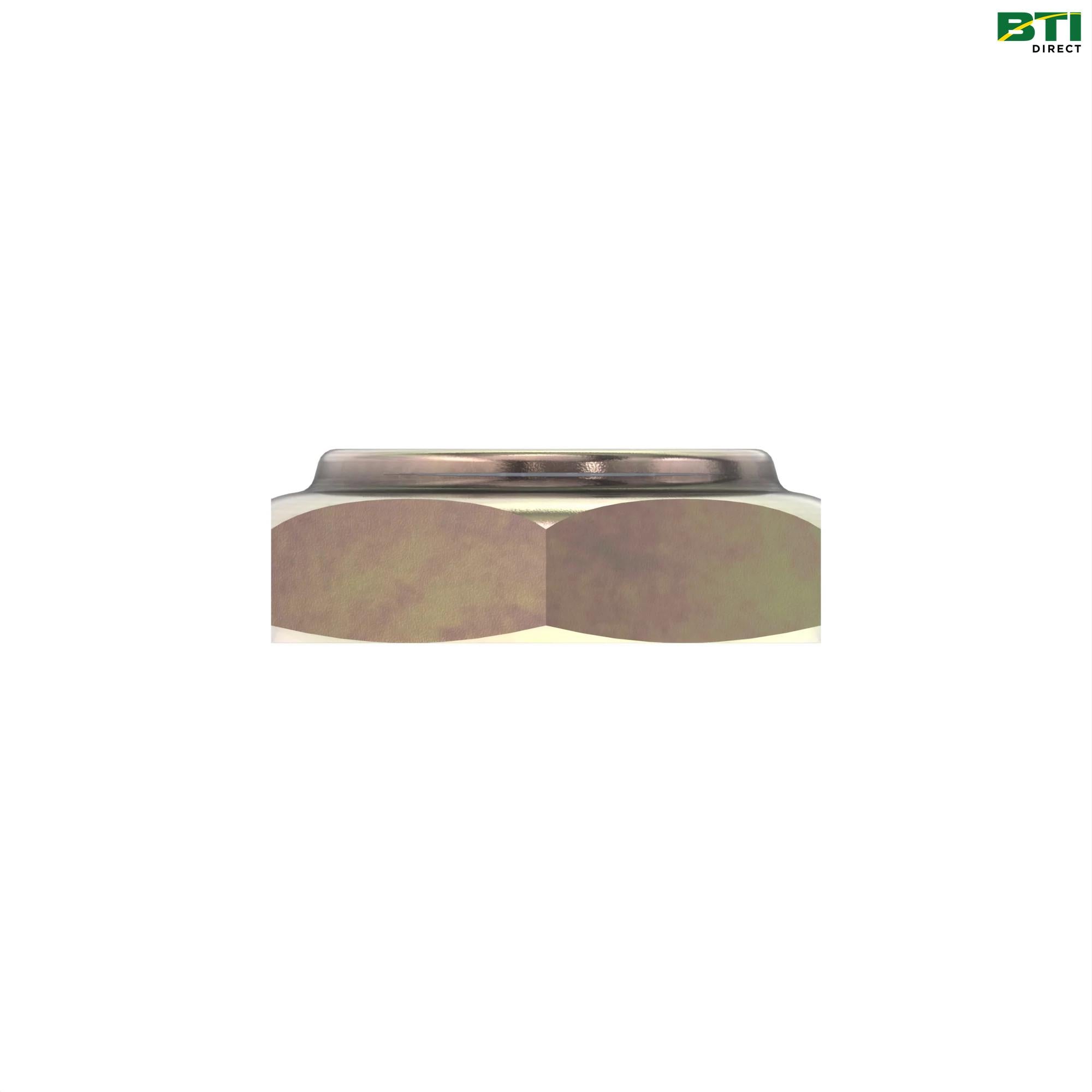 N275038: Hexagonal Lock Nut, M30