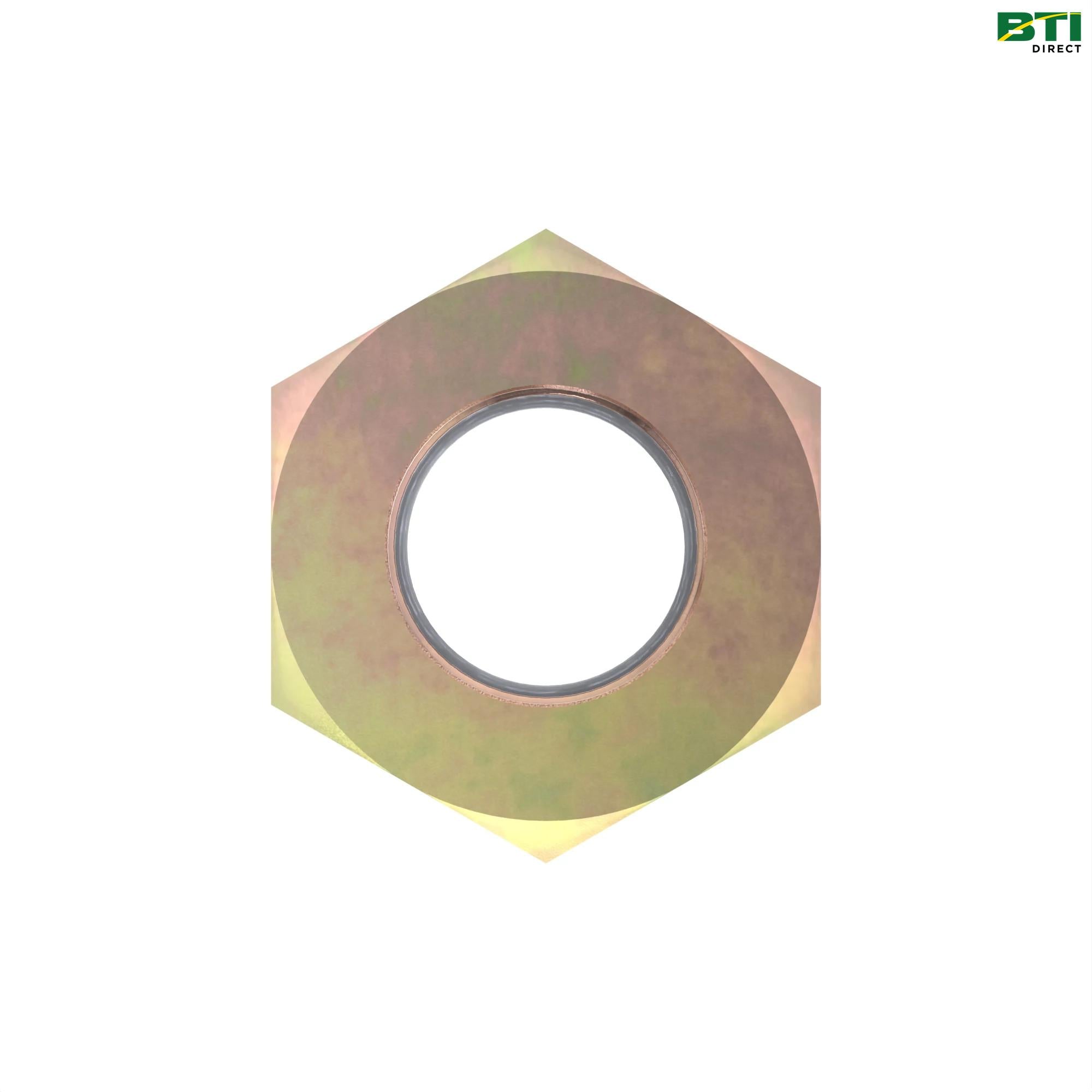 N275038: Hexagonal Lock Nut, M30