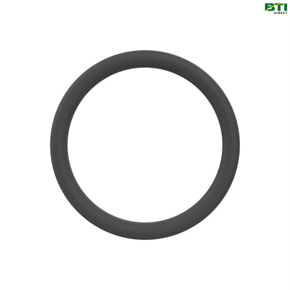 U17409: Round Cross Section O-Ring