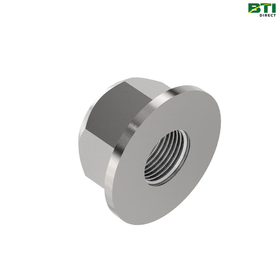 W40550: Hexagonal Lock Nut, M20